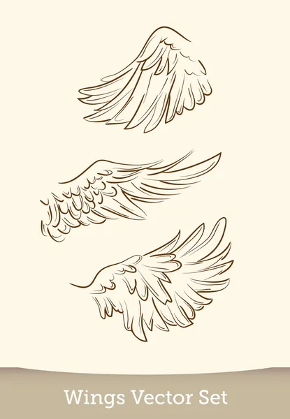Векторные крылья — стоковый вектор