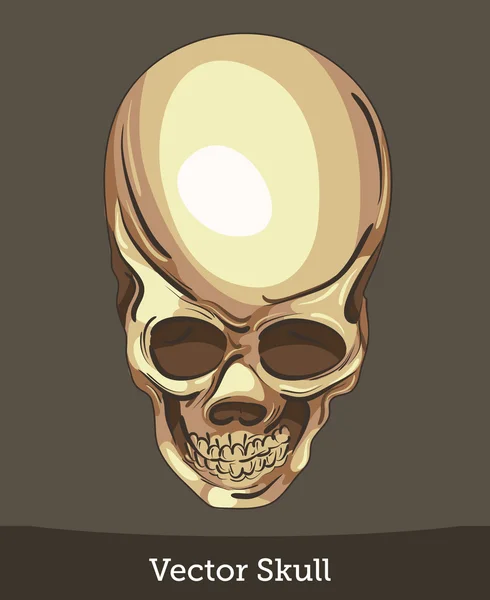 Crâne d'encre vectorielle — Image vectorielle