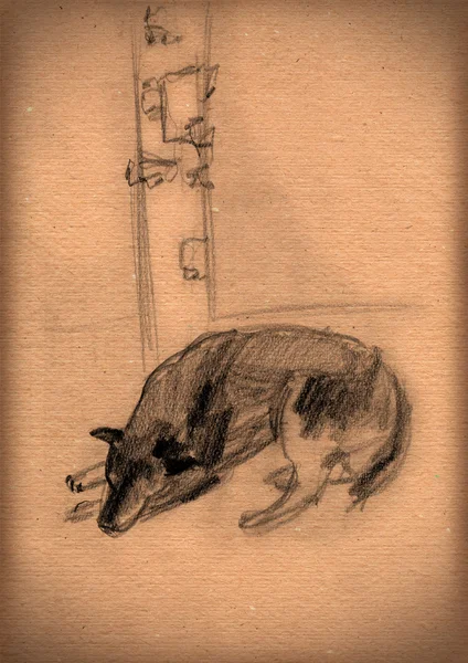 Винтажная бумага с наброском лживой собаки — стоковое фото