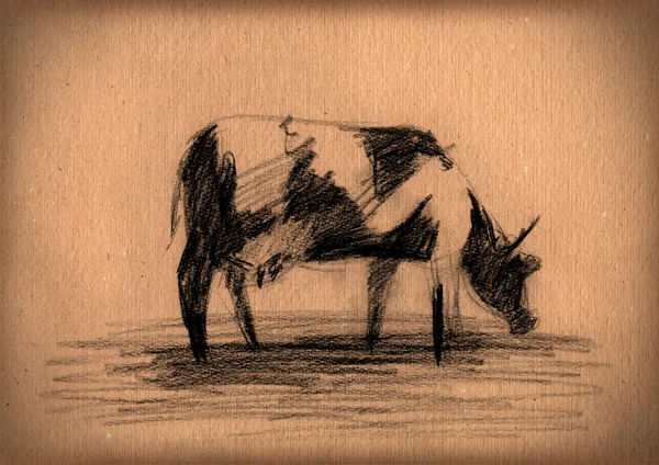 Carta vintage con uno schizzo di mucca — Foto Stock