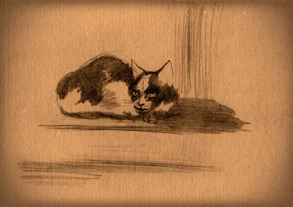 Vintage papper med en skiss av en katt — Stockfoto