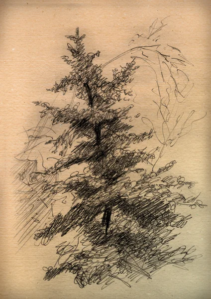 Papier vintage avec un croquis d'arbre — Photo