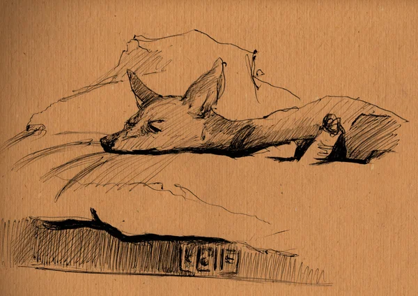 Винтажная бумага с наброском лживой собаки — стоковое фото