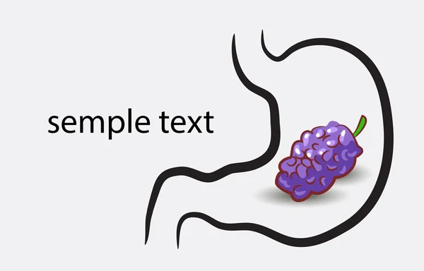Icône de l'estomac avec du raisin — Image vectorielle