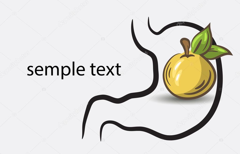 Vector stomach icon with fruit