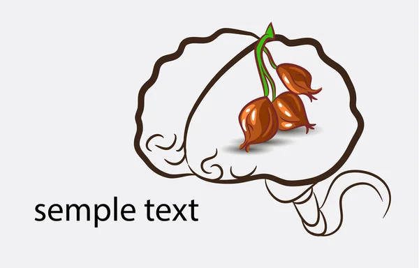Cerveau avec oignon — Image vectorielle