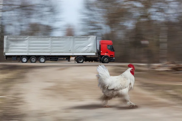 El camión se mueve rápidamente en la carretera — Foto de Stock