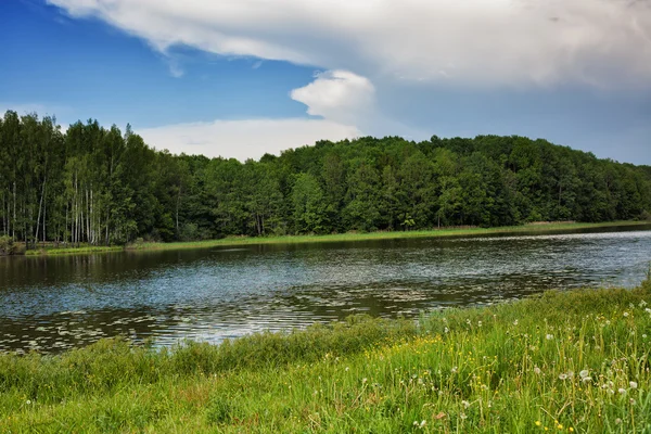 Blue sky, green wood, river and meadow — Stock Photo, Image