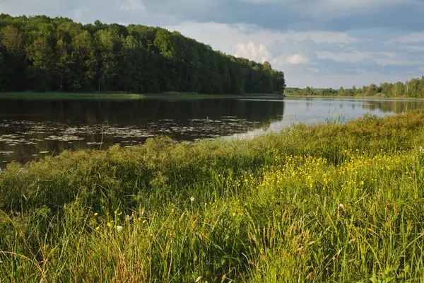 Blue sky, green wood, river and meadow — Stock Photo, Image