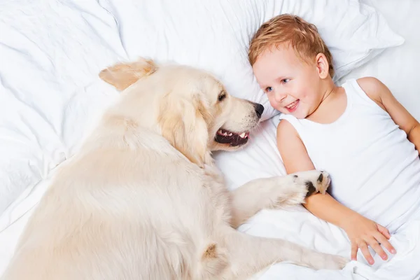 Chłopiec i pies w łóżku — Zdjęcie stockowe