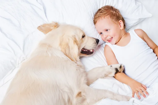 küçük bir çocuk ve bir köpek yatakta