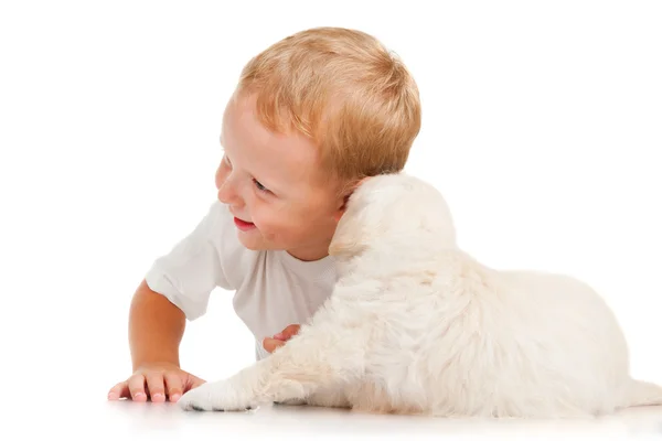 Niño pequeño con un cachorro —  Fotos de Stock