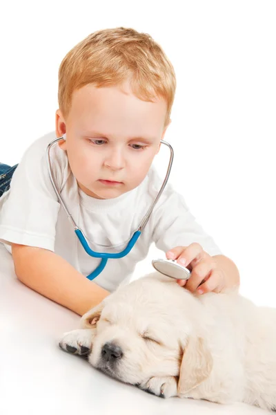 Junge hört Retriever-Welpe durch Stethoskop — Stockfoto