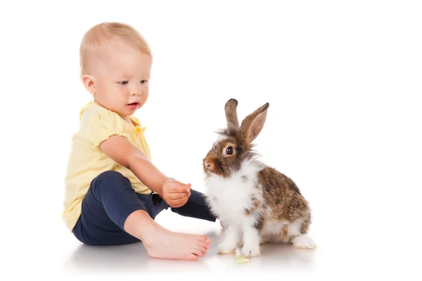 Little girl feeding rabbits cabbage — Stock Photo, Image