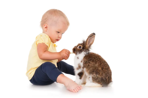 Little girl feeding rabbits cabbage — Stock Photo, Image