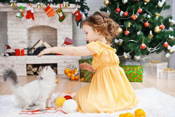 Little girl with a cat in a holiday room — Stock Photo, Image