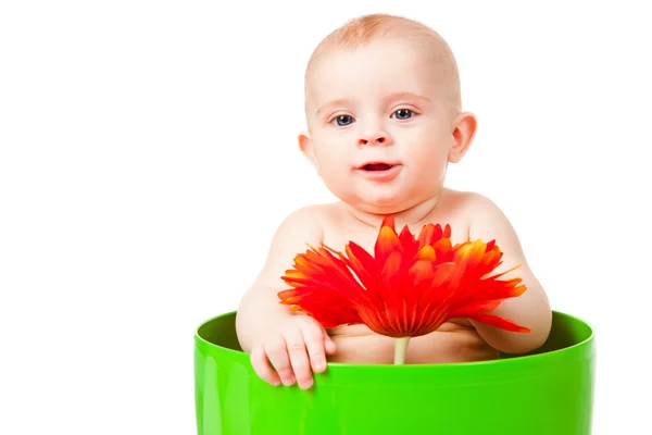 Bebê com uma flor vermelha senta-se em um vaso de flores — Fotografia de Stock