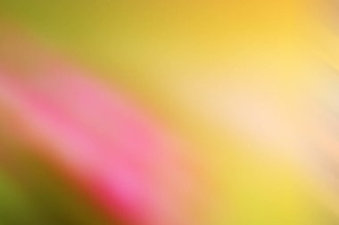 Blurred Background Pink Mixed Yellow Green Abstract Multi Color Gradient Flowin