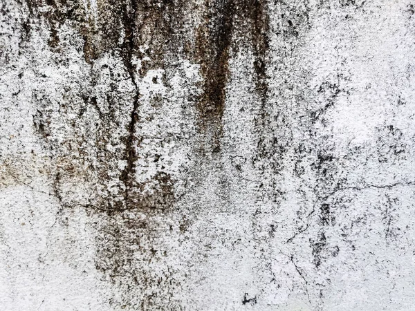 A cracked concrete wall covered with a gray cement texture as the background. and enter text