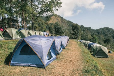 camp under a pine forest at Mon Son view point Doi Pha Hom Pok National Park, Doi Ang Khang, a natural landmark and popular natural attraction in Thailand.