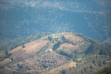 Doi Pha Tang Viewpoint, a tourist attraction in Wiang Kaen District, Chiang Rai Province, Thailand.