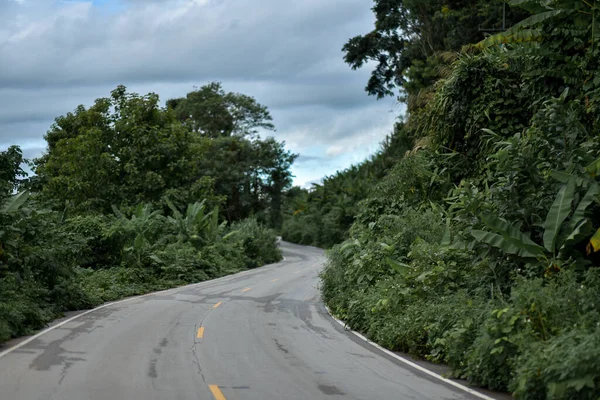 rainy season country road with trees beside concep