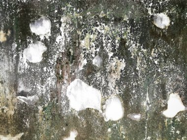 Eski grunge dokusu arka planı boşluğu olan mükemmel arkaplan ve web sitesini dekore et