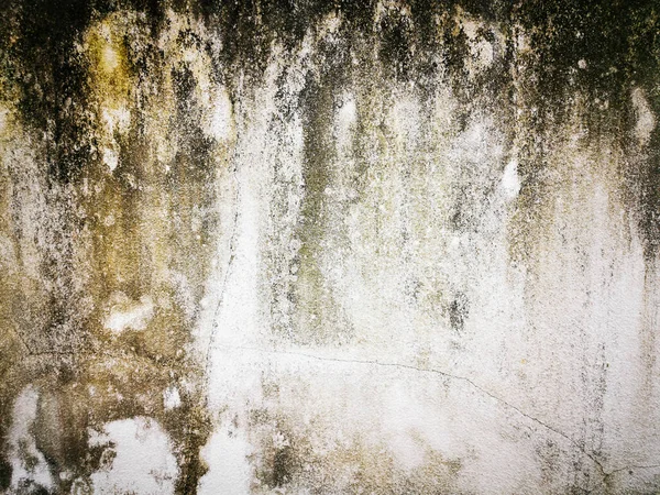 Eski grunge dokusu arka planı boşluğu olan mükemmel arkaplan ve web sitesini dekore et