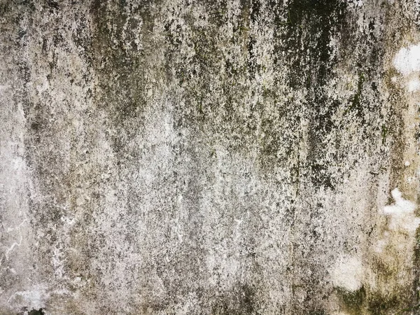 Eski grunge dokusu arka planı boşluğu olan mükemmel arkaplan ve web sitesini dekore et