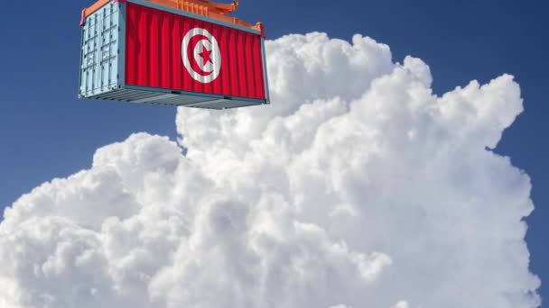 Kontener Towarowy Flagą Narodową Tunezji Renderowanie — Wideo stockowe