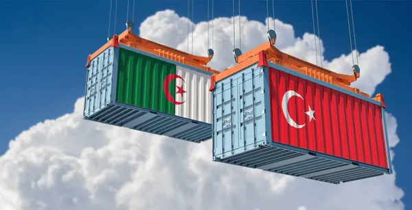 アルジェリアとトルコの国旗の貨物コンテナ 3Dレンダリング — ストック写真