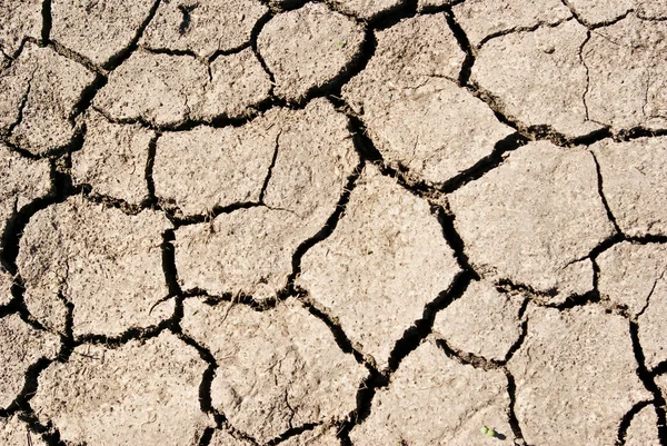 "The texture cracked ,dry the surface of the earth" — Stock Photo, Image