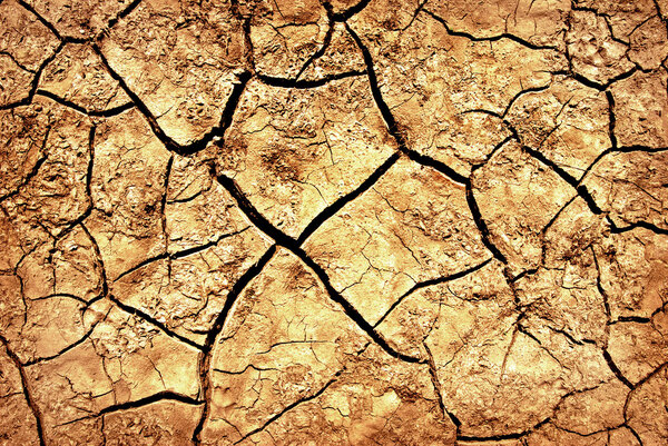 The cracks on the parched earth at the bottom of the dried-up lake