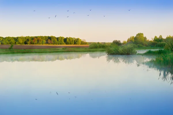 "Alba sul lago nel campo sullo sfondo della foresta ." — Foto Stock