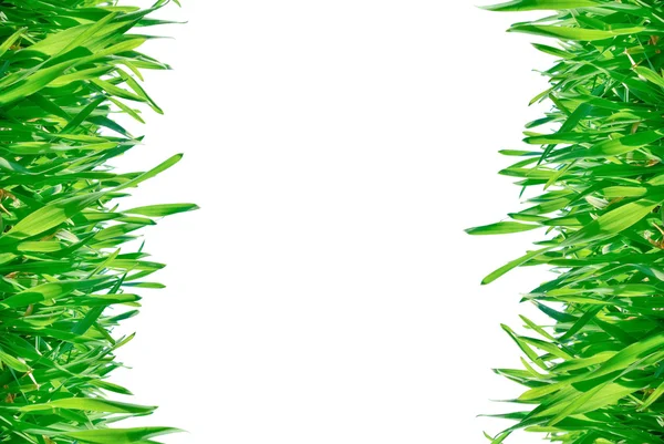 "Frame of green grass isolated on a white background." — Stock Photo, Image
