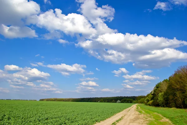 "Green field,road,forest,on the background of the blue sky with clouds." — Stock Photo, Image