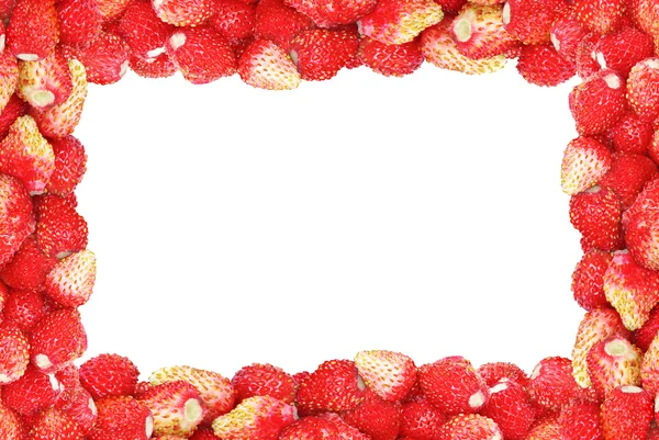 "Marco de fresa silvestre aislado sobre un fondo blanco ." — Foto de Stock