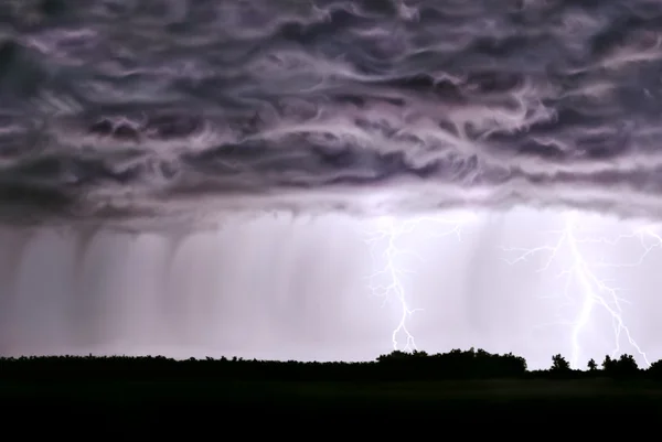 "natt åska, regn, blixtar, i fältet i skogen." — Stockfoto