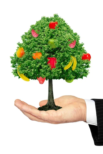 Strom s plody na dlani izolovaných na bílém pozadí — Stock fotografie