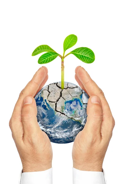 Hands holding planet earth with plants isolated on white background — Stock Photo, Image