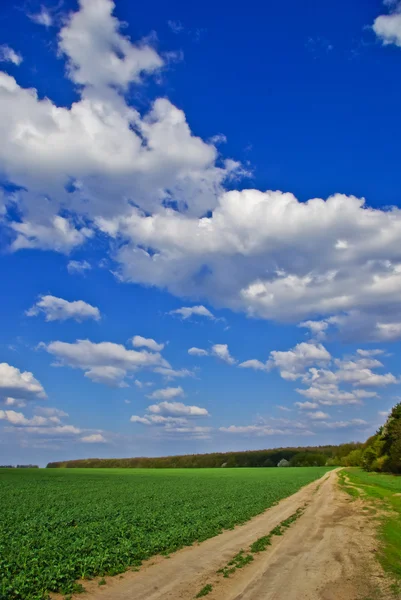 Grüne Wiese, Straße, Wald, im Hintergrund der blaue Himmel mit Wolken — Stockfoto