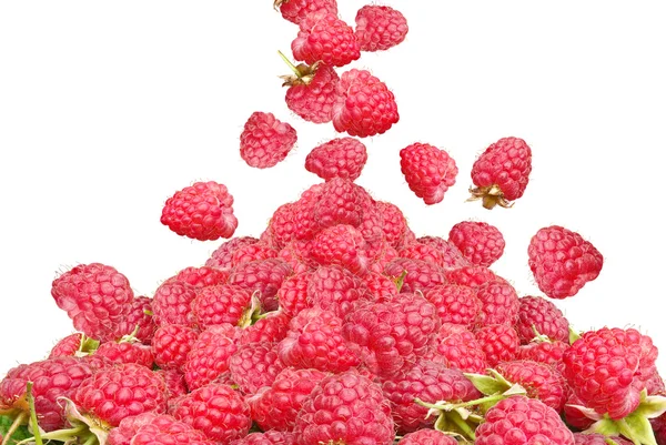 Fallende Himbeeren isoliert auf weißem Hintergrund — Stockfoto