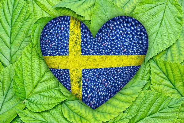 葉の果実の中心にスウェーデンの旗 — ストック写真