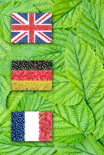 Σημαίες της Γερμανίας, της Γαλλίας και της Αγγλίας στα φύλλα — Φωτογραφία Αρχείου