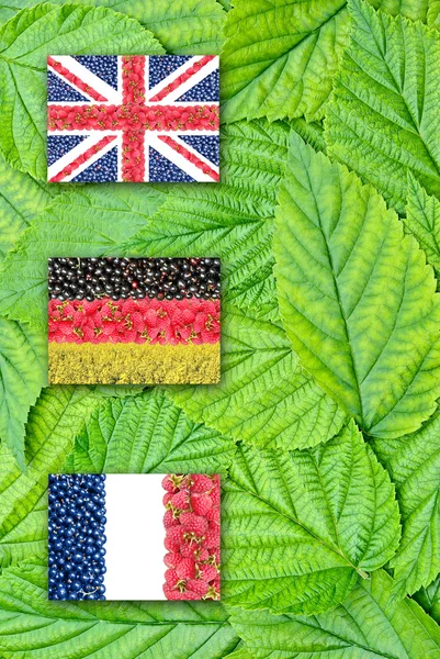 Drapeaux d'Allemagne, de France et d'Angleterre sur les feuilles — Photo