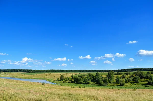 Pasture Forest Background Sky — Stock Photo, Image