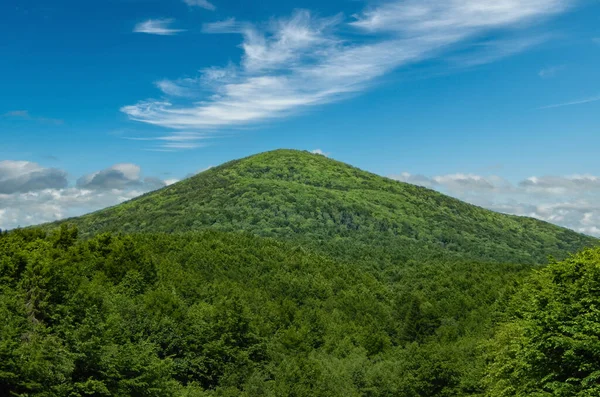 Forest Mountains Background Blue Sky — Stock Photo, Image