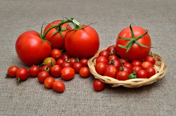 Reife Frische Rote Tomaten Auf Einem Groben Klecks — Stockfoto
