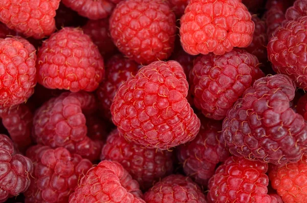 Texture Ripe Fresh Juicy Raspberries Close — Stock Photo, Image