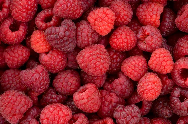 Textur Reifer Frischer Saftiger Himbeeren Nahaufnahme — Stockfoto